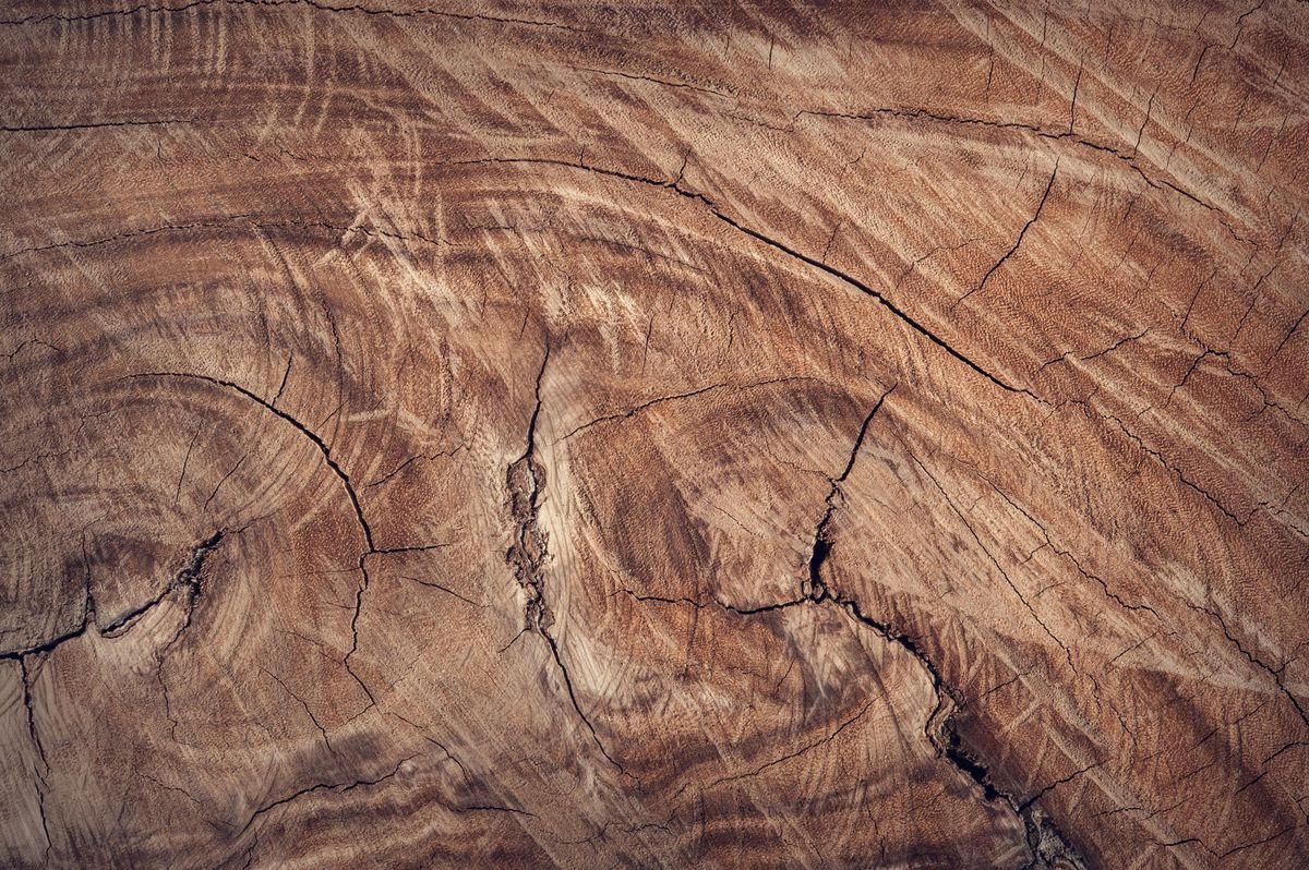 Exotic burl veneer