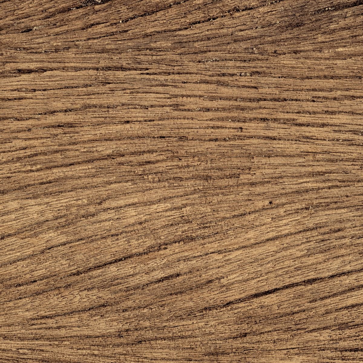 American Walnut